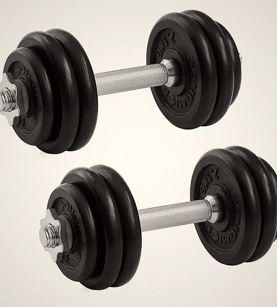 20 Kg SONGMICS Hantelset Aus Gusseisen, Verstellbar, Gewichtheben für Zuhause