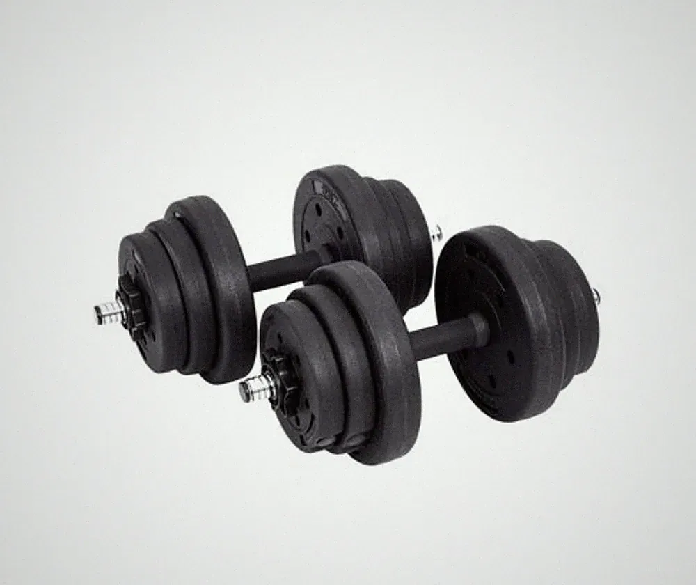 SONGMICS Hantel Gewichte Set Gym Fitness 2 x 10 kg SYL20HV1