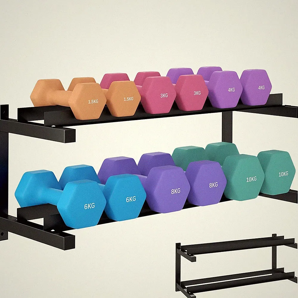 SPORTNOW Wand-Hantelablage, 2-stufiges Stahldesign, schwarz