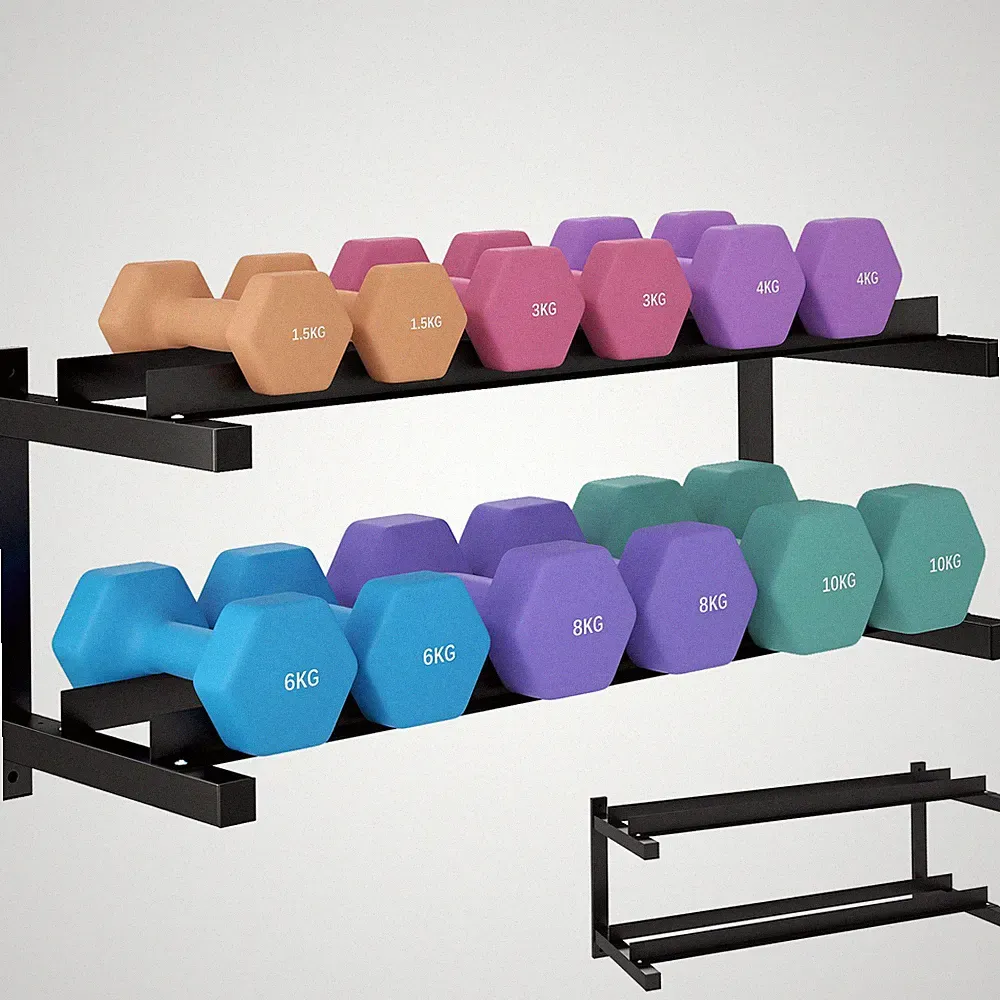 SPORTNOW Wand-Hantelablage, 2-stufiges Stahldesign, schwarz