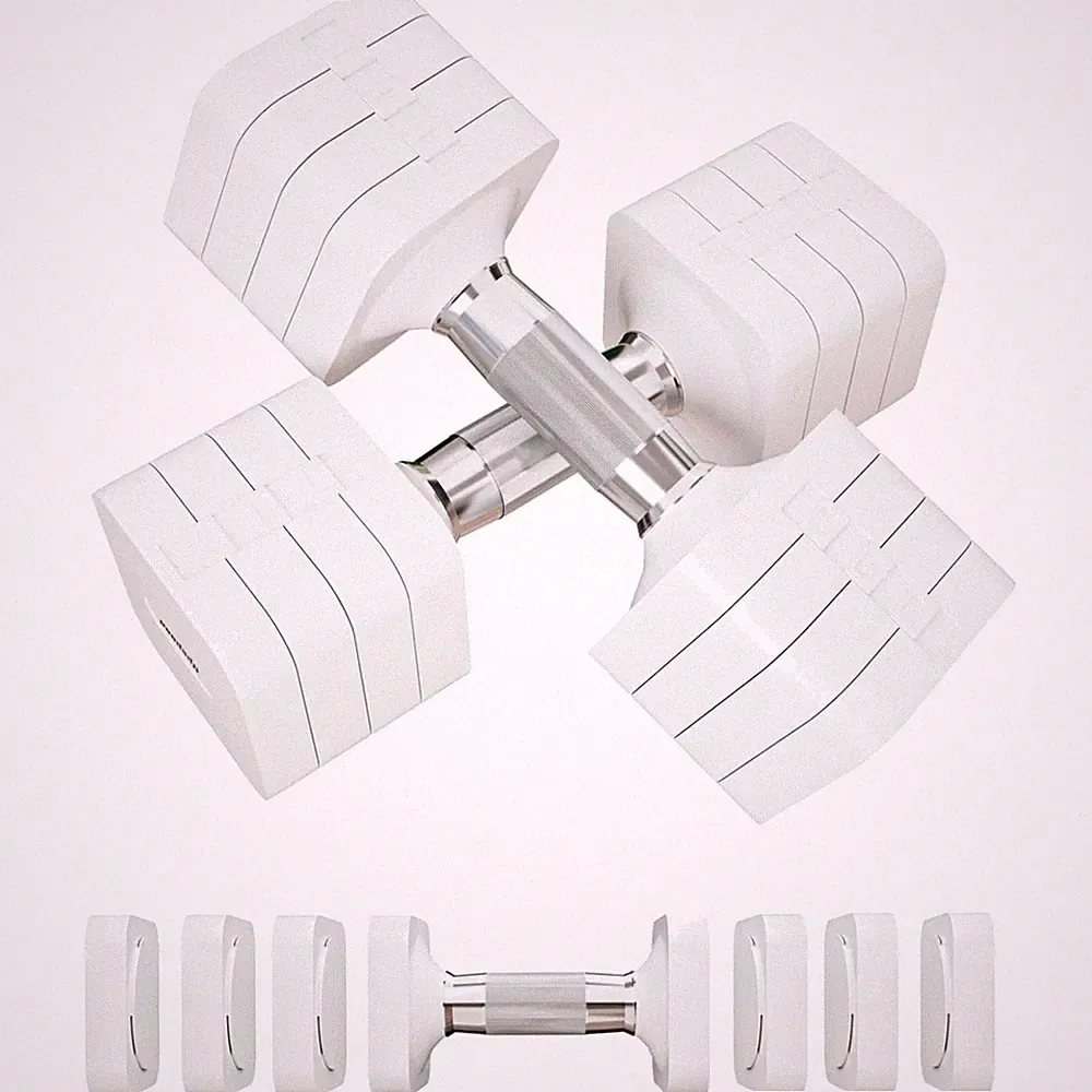 Verstellbare Kurzhanteln 10kg Set, 4-in-1, Metall, für Home Gym, Workout